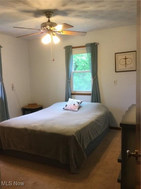 1009 Township Rd Unit 2156, Ashland, OH 44805 - bedroom featuring carpet and a ceiling fan