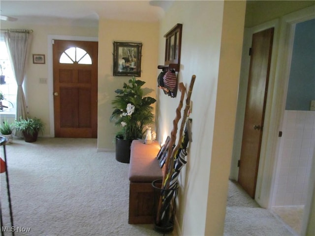 260 E 293rd St, Willowick, OH 44095 - photo 25