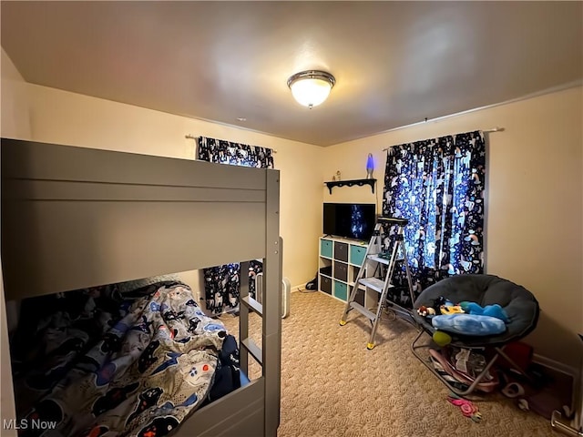 2007 W 59th St, Ashtabula, OH 44004 - bedroom featuring carpet floors