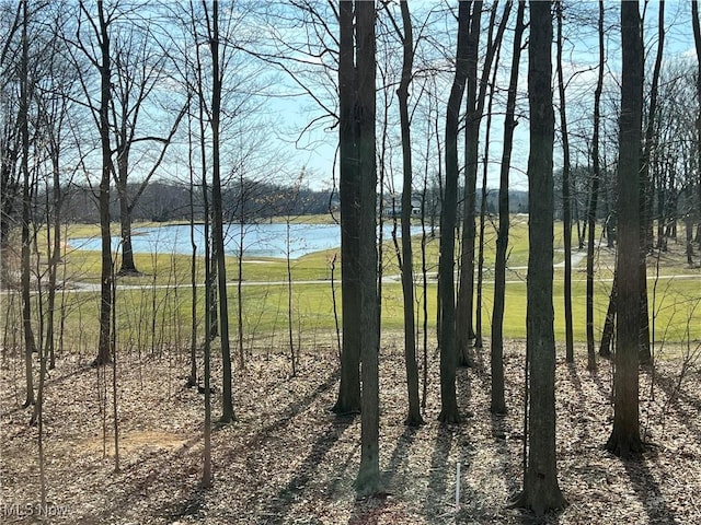 275 Glengarry Dr, Aurora, OH 44202 - water view