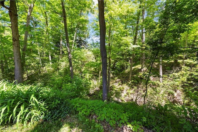 7587 Lewis Rd, Olmsted Twp, OH 44138 - photo 42