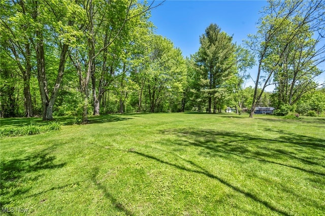 13014 Cherry Ln, Chesterland, OH 44026 - view of grassy yard