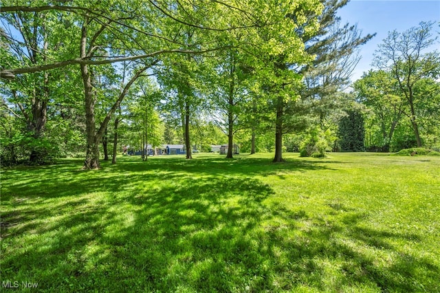 13014 Cherry Ln, Chesterland, OH 44026 - view of green lawn