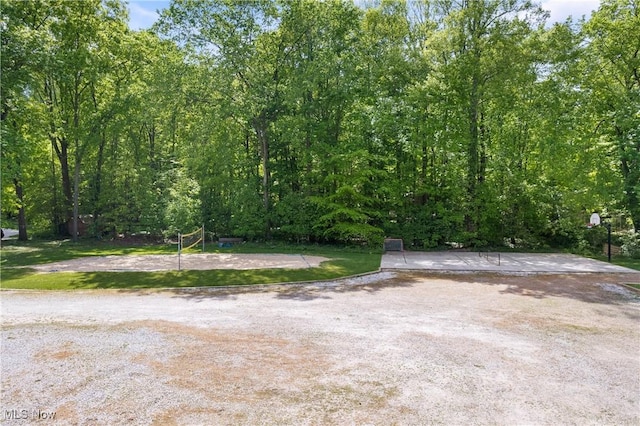 4512 Conestoga Trl, Copley, OH 44321 - view of yard featuring volleyball court and a view of trees