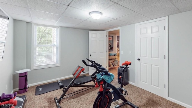 218 Treetop Spur, Copley, OH 44321 - workout room with a paneled ceiling, carpet flooring, and baseboards