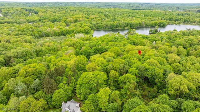 13561 Colony Ln, Burton, OH 44021 - photo 6