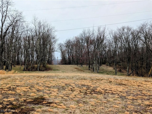 50364 Carroll Rd, East Liverpool, OH 43920 - view of nature