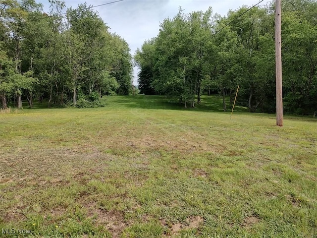 50364 Carroll Rd, East Liverpool, OH 43920 - view of grassy yard