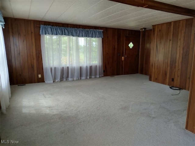 50364 Carroll Rd, East Liverpool, OH 43920 - empty room featuring wood walls and carpet floors