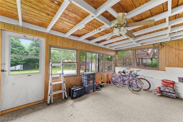 425 Warwick St, Akron, OH 44305 - sunroom with wooden walls, wood ceiling, carpet, and a wood stove