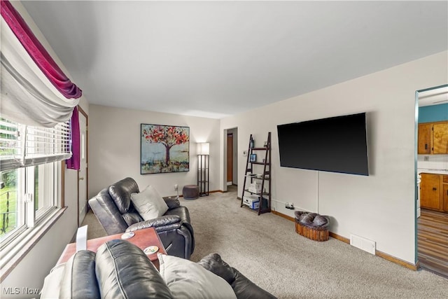 425 Warwick St, Akron, OH 44305 - carpeted living room featuring baseboards