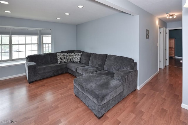 2932 Pease Dr Unit 210, Rocky River, OH 44116 - living room with baseboards, recessed lighting, and wood finished floors