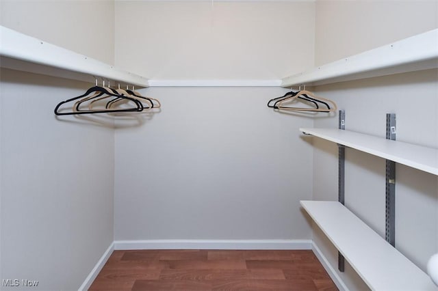 2932 Pease Dr Unit 210, Rocky River, OH 44116 - spacious closet featuring wood finished floors