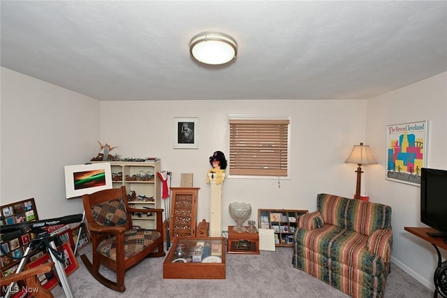 123 Wabash Ave, Orrville, OH 44667 - living room featuring carpet and baseboards