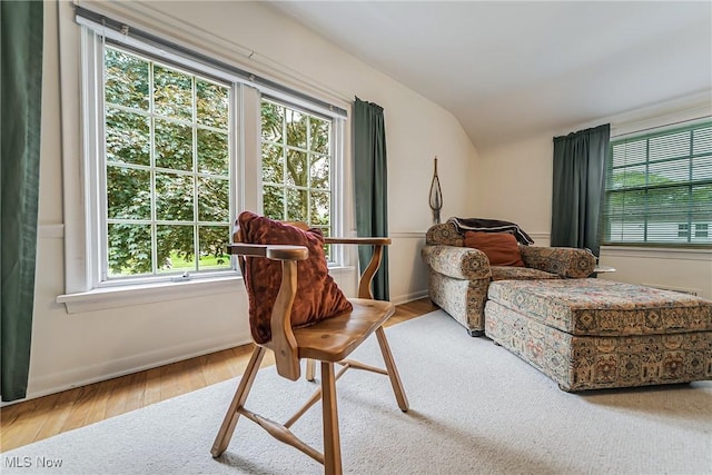 20110 Carolyn Ave, Rocky River, OH 44116 - bedroom featuring vaulted ceiling, wood finished floors, and baseboards