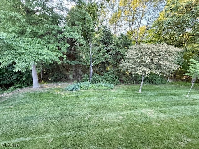 305 Flintwood Dr, Marietta, OH 45750 - view of grassy yard