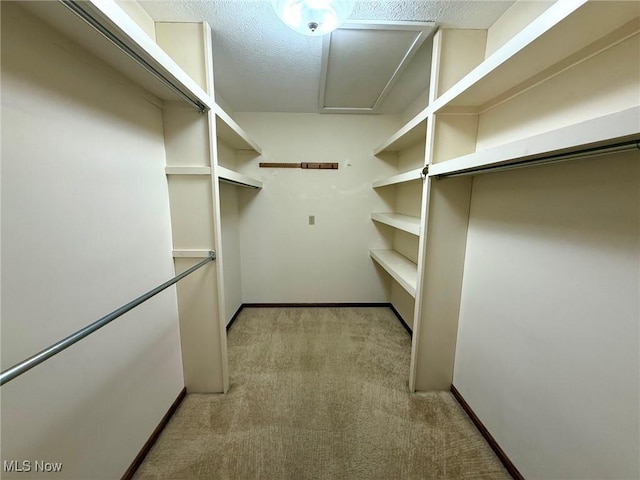 305 Flintwood Dr, Marietta, OH 45750 - walk in closet with light colored carpet