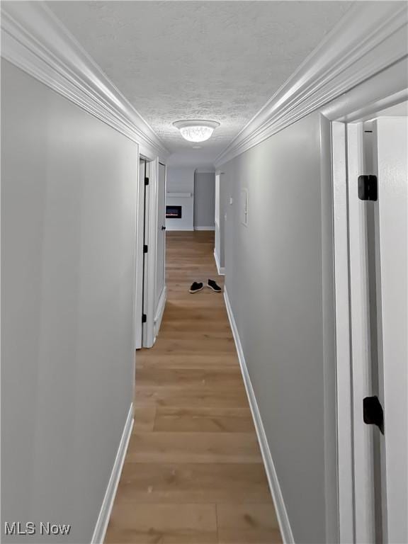 9530 Cove Dr Unit C-26, North Royalton, OH 44133 - corridor featuring crown molding, baseboards, light wood-type flooring, and a textured ceiling