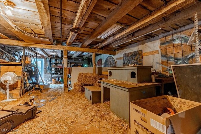 15216 Grove Rd SE, Port Washington, OH 43837 - basement featuring wood ceiling