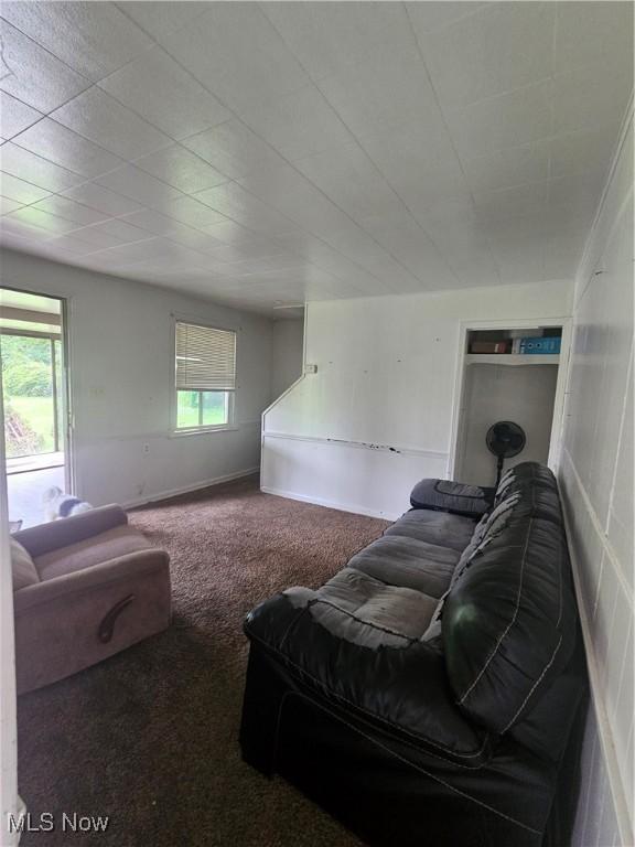 72 Idaho Rd, Austintown, OH 44515 - living area with carpet