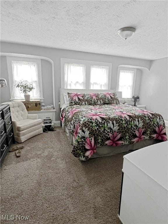 9007 Plymouth Ave, Garfield Heights, OH 44125 - bedroom with carpet flooring and a textured ceiling