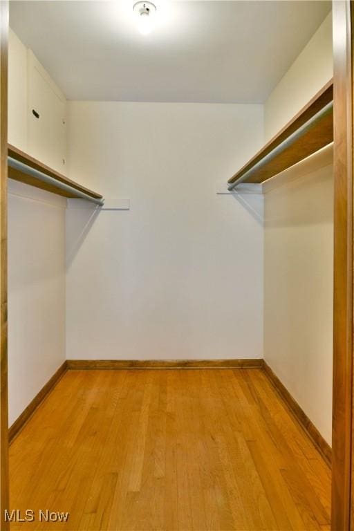 3763 E River Rd, Newton Falls, OH 44444 - walk in closet featuring light wood-style flooring
