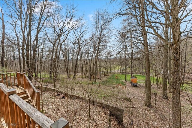 4696 Riverdale St SW, Bolivar, OH 44612 - photo 44