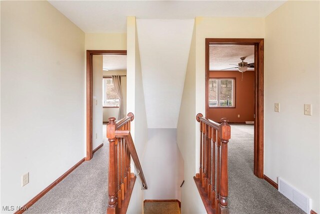 4696 Riverdale St SW, Bolivar, OH 44612 - photo 20