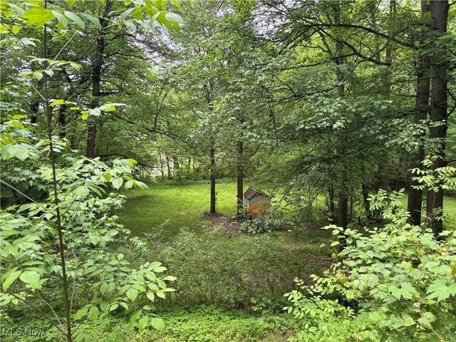 4696 Riverdale St SW, Bolivar, OH 44612 - photo 41