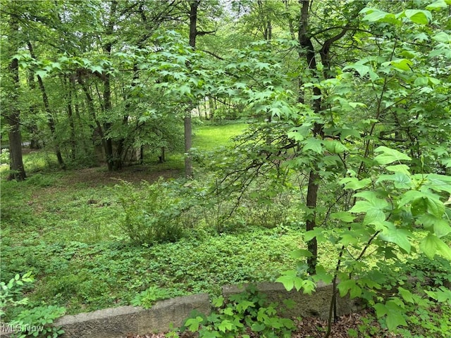 4696 Riverdale St SW, Bolivar, OH 44612 - photo 43