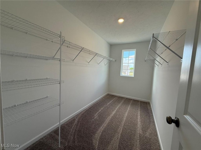 23669 Wallys Way, Columbia Station, OH 44028 - walk in closet with carpet flooring