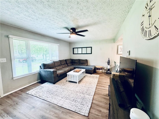 156 N Beverly, Austintown, OH 44515 - living area with ceiling fan, wood finished floors, a textured ceiling, and baseboards