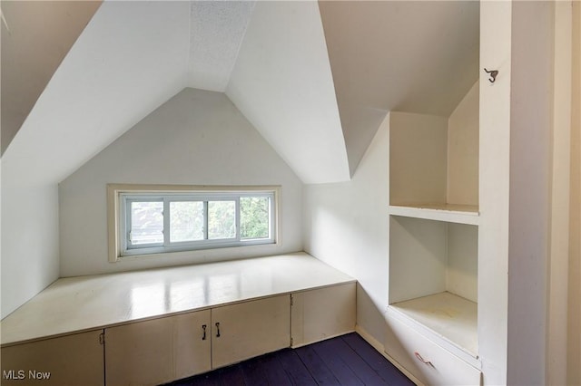 44 W Vine St, Oberlin, OH 44074 - additional living space featuring vaulted ceiling and dark wood-type flooring