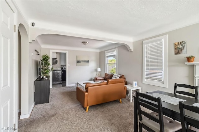 13641 Cedar Rd, University Heights, OH 44118 - living room featuring arched walkways, carpet, baseboards, and a textured ceiling
