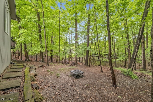 17404 Falling Water Rd, Strongsville, OH 44136 - view of yard