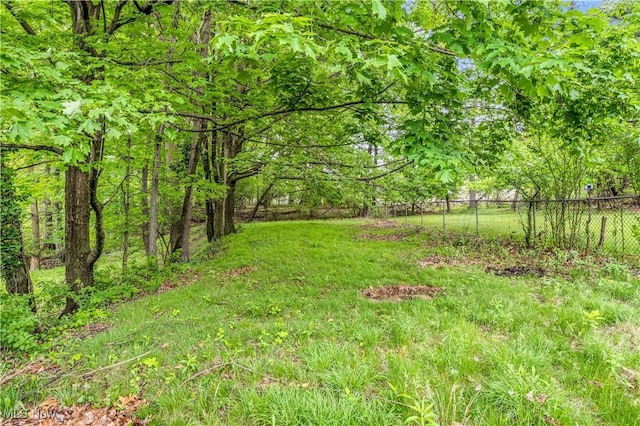 10701 Mountview Ave, Garfield Heights, OH 44125 - view of yard
