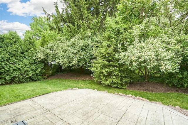 1917 Northgate Cir, Akron, OH 44320 - view of patio