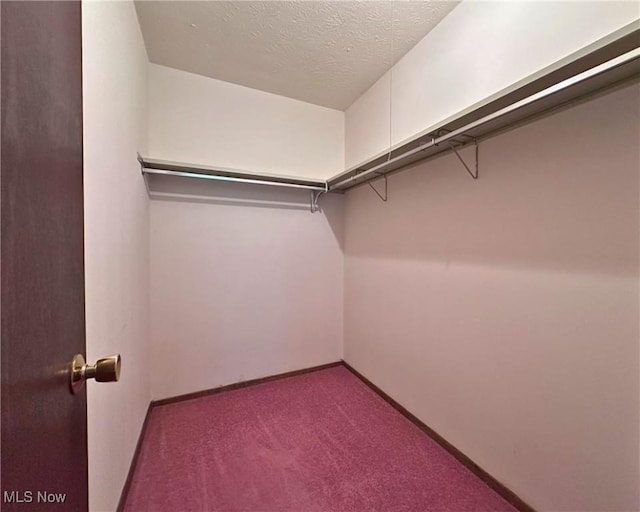 547 Towns Ln Unit 129, Richmond Heights, OH 44143 - walk in closet featuring carpet floors
