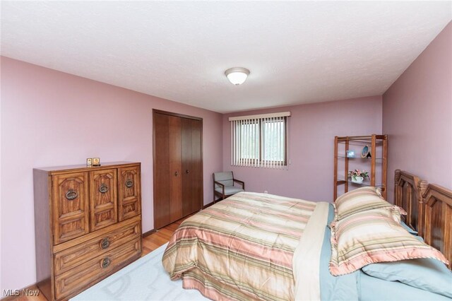 5761 Goodman Cir, North Royalton, OH 44133 - bedroom with a closet and light wood finished floors