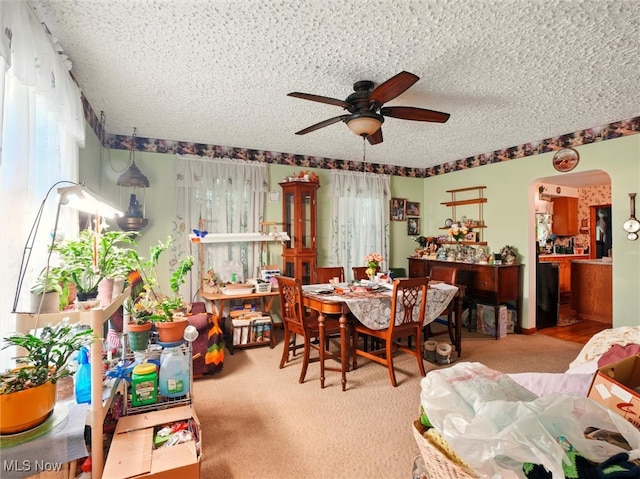 3912 Austinburg Rd, Ashtabula, OH 44004 - carpeted dining space featuring a ceiling fan, a textured ceiling, and arched walkways