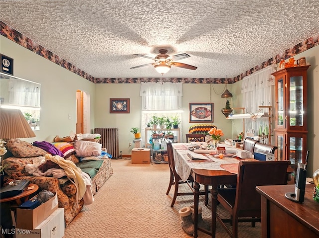 3912 Austinburg Rd, Ashtabula, OH 44004 - carpeted dining room with radiator, ceiling fan, and a textured ceiling
