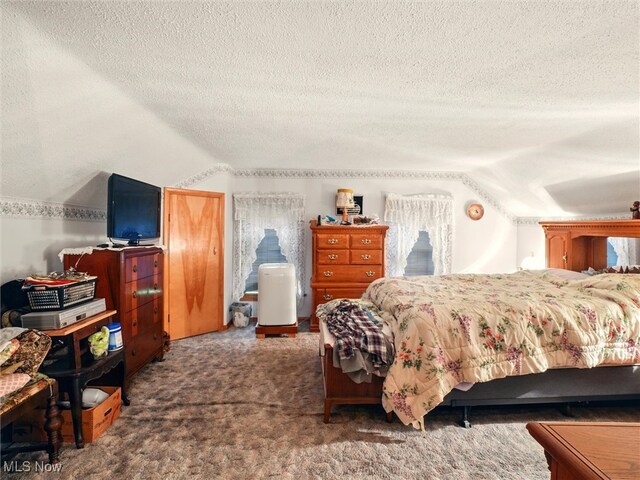 3912 Austinburg Rd, Ashtabula, OH 44004 - carpeted bedroom with lofted ceiling and a textured ceiling