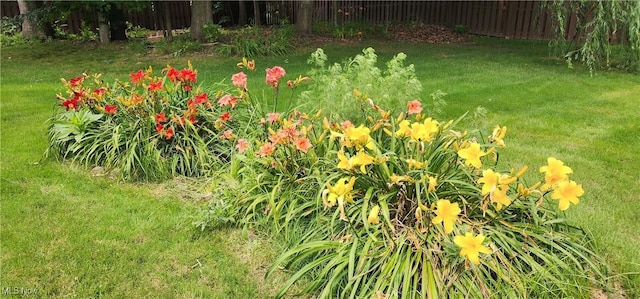 7124 Hollyhock Ln, Solon, OH 44139 - view of yard