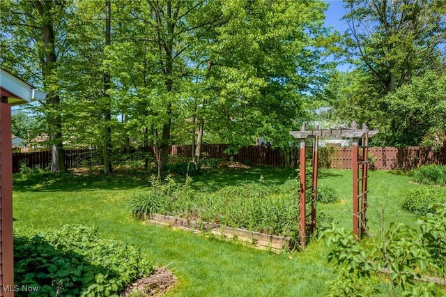 7124 Hollyhock Ln, Solon, OH 44139 - view of yard