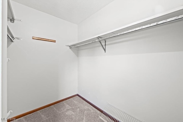7124 Hollyhock Ln, Solon, OH 44139 - spacious closet featuring carpet