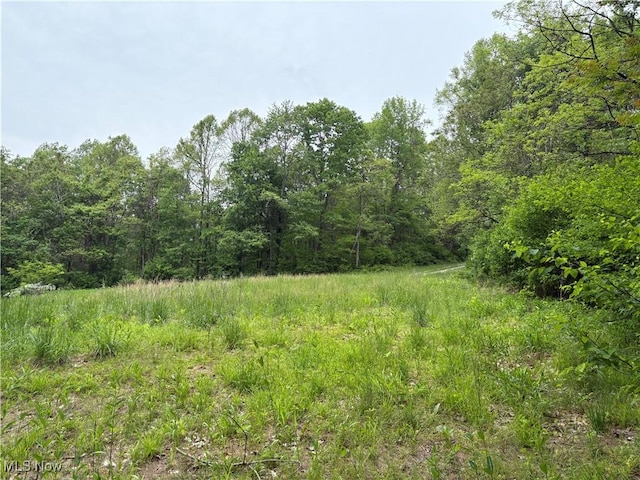 Granger Hill Rd, Zanesville, OH 43701 - photo 2