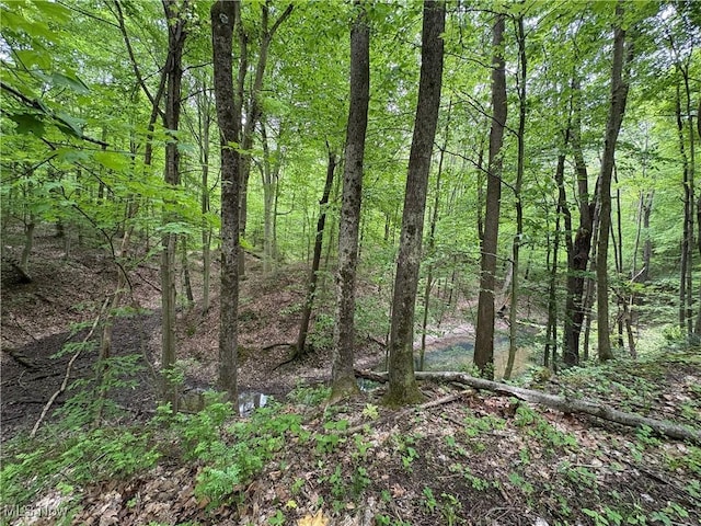 Granger Hill Rd, Zanesville, OH 43701 - photo 8