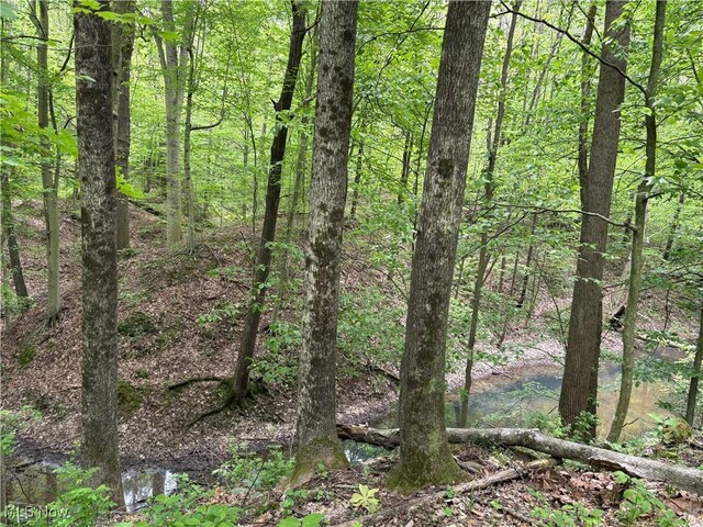 Granger Hill Rd, Zanesville, OH 43701 - photo 9