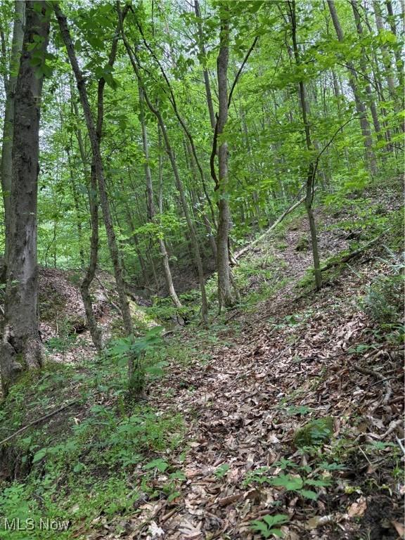 Granger Hill Rd, Zanesville, OH 43701 - photo 16