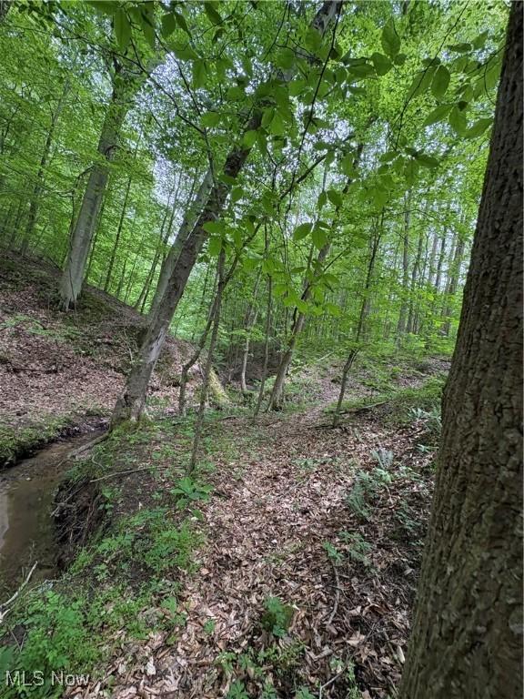 Granger Hill Rd, Zanesville, OH 43701 - photo 17